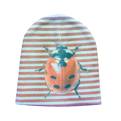 Striped beanie with a ladybug design on a white background